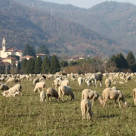 Amata Valgre Affittacamere, Comfort E Pulizia Eccezionali!! 게스트하우스 3*