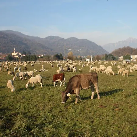 Penzion Amata Valgre Affittacamere, Comfort E Pulizia Eccezionali!! 3*